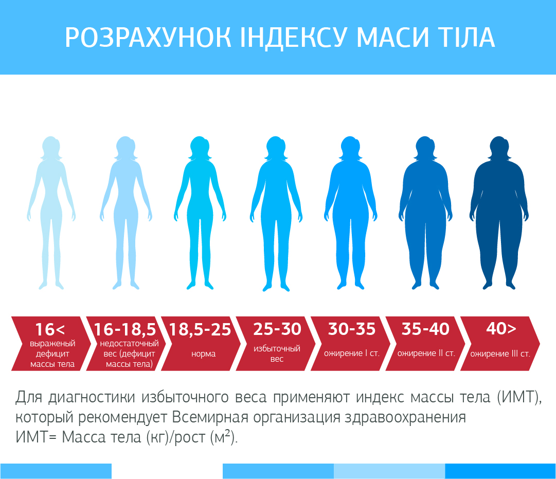 Эндокринолог поделилась простым правилом быстрого похудения, Российская газета