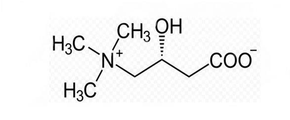 Л-карнитин - самое безопасное средство для похудения