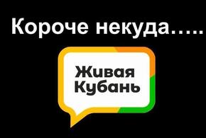 В Сочи снова стреляли, а Новороссийск накрыл норд-ост: итоги дня ВИДЕО