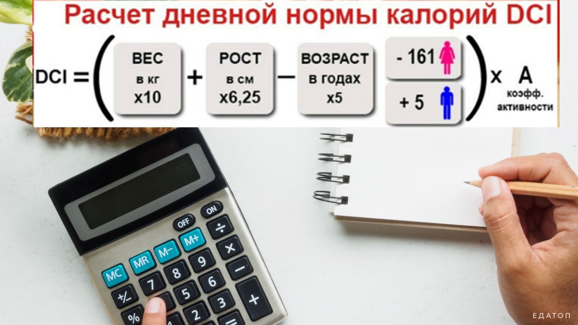 Дневная норма калорий