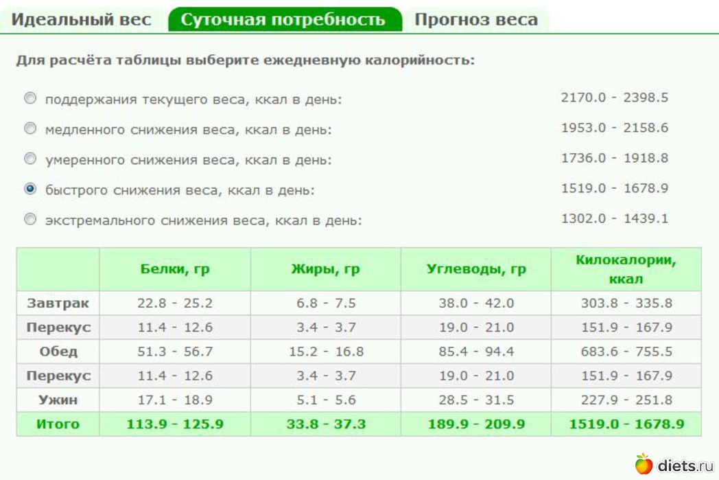 Норма калорий в сутки: сколько калорий нужно употреблять в день и почему?