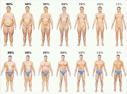 Определение процента жировой ткани кето