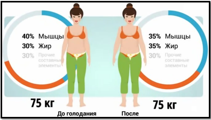 Упражнения для похудения. Соотношение мышц и жира до и после диеты.